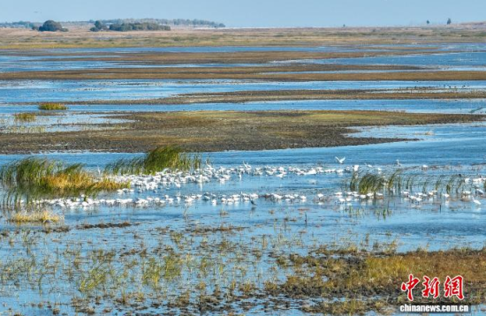 10��16��������ĪĪ���(gu��)�Ҽ�(j��)��Ȼ���o(h��)�^(q��)��(n��i)�������ڑ�ˮ��(�o(w��)�˙C(j��)��Ƭ)�w��� �z