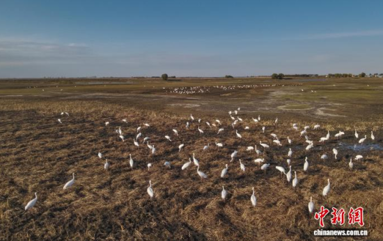 10��16�����ڼ���ĪĪ���(gu��)�Ҽ�(j��)��Ȼ���o(h��)�^(q��)��(n��i)���Q����Ϣ��(�o(w��)�˙C(j��)��Ƭ)�w��� �z