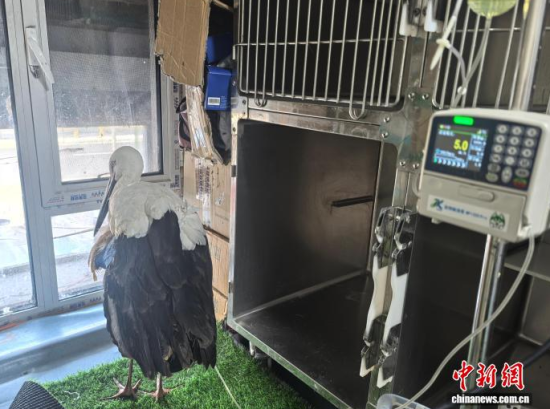 �܂��Ė|�����X���ڽ���ݔҺ�ί�����ʯ���� �z