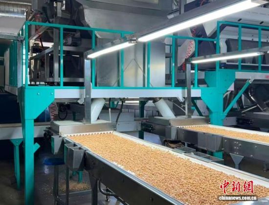 �������a(ch��n)����(�L(zh��ng)�����P(gu��n)���D)